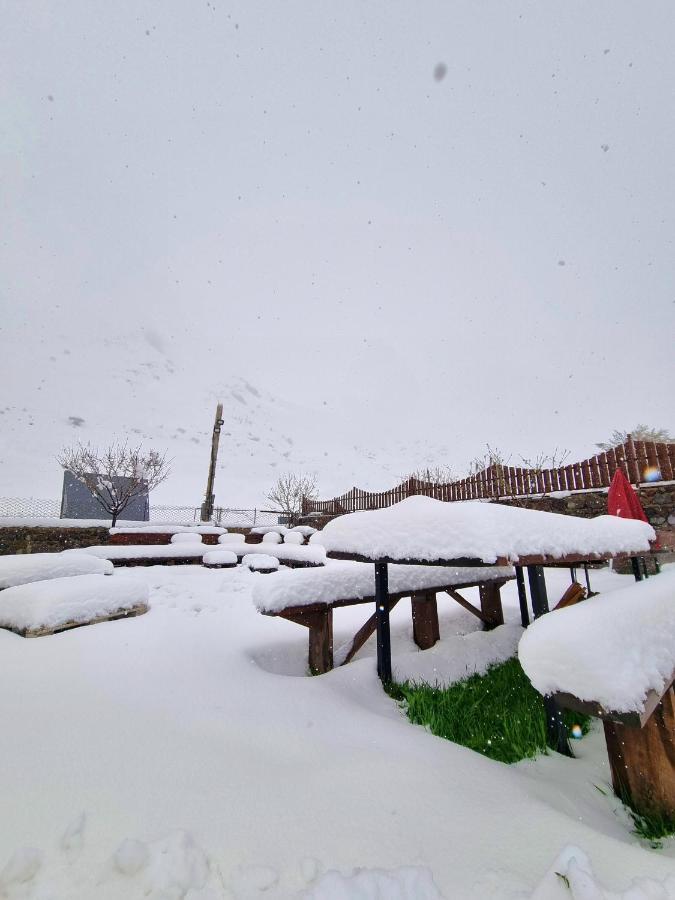 ---Allegria House--- Kazbegi Dış mekan fotoğraf