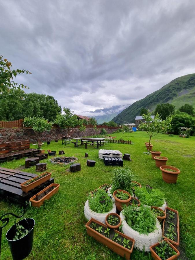 ---Allegria House--- Kazbegi Dış mekan fotoğraf