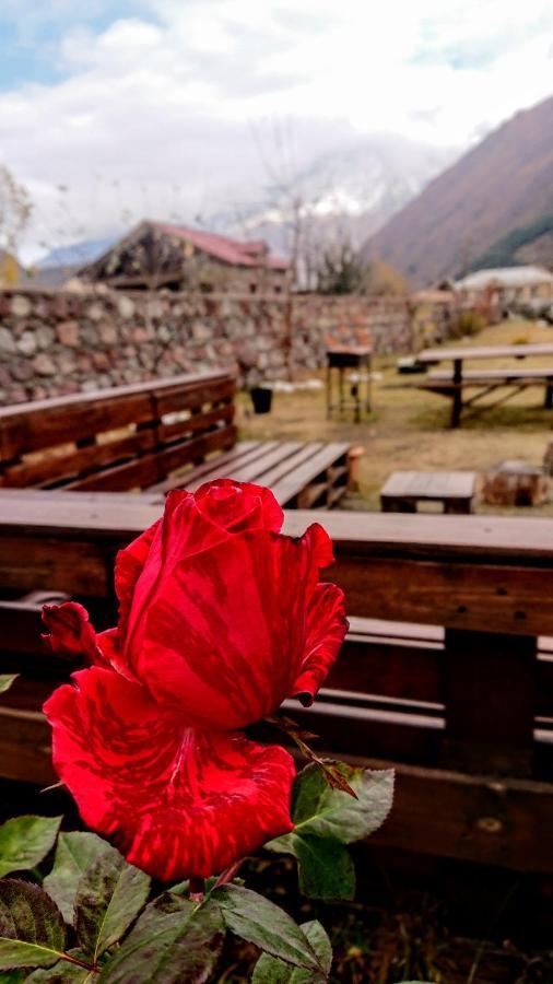 ---Allegria House--- Kazbegi Dış mekan fotoğraf