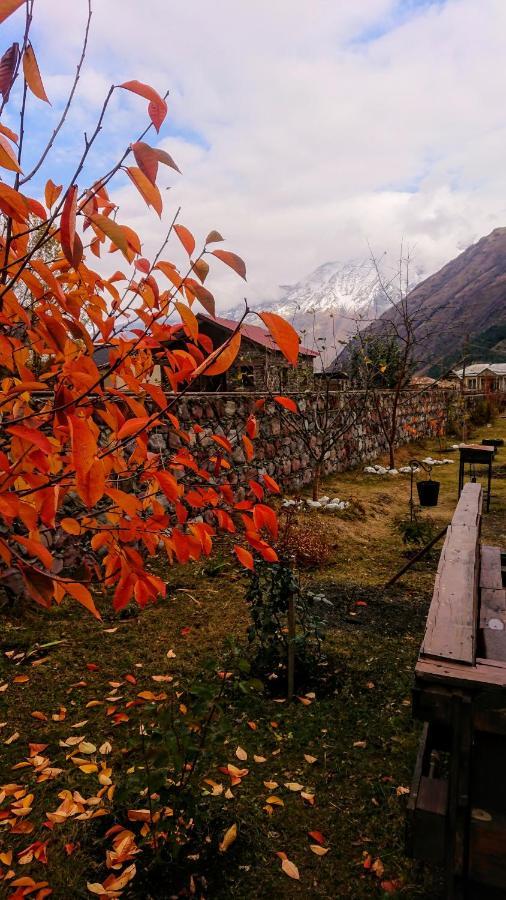 ---Allegria House--- Kazbegi Dış mekan fotoğraf