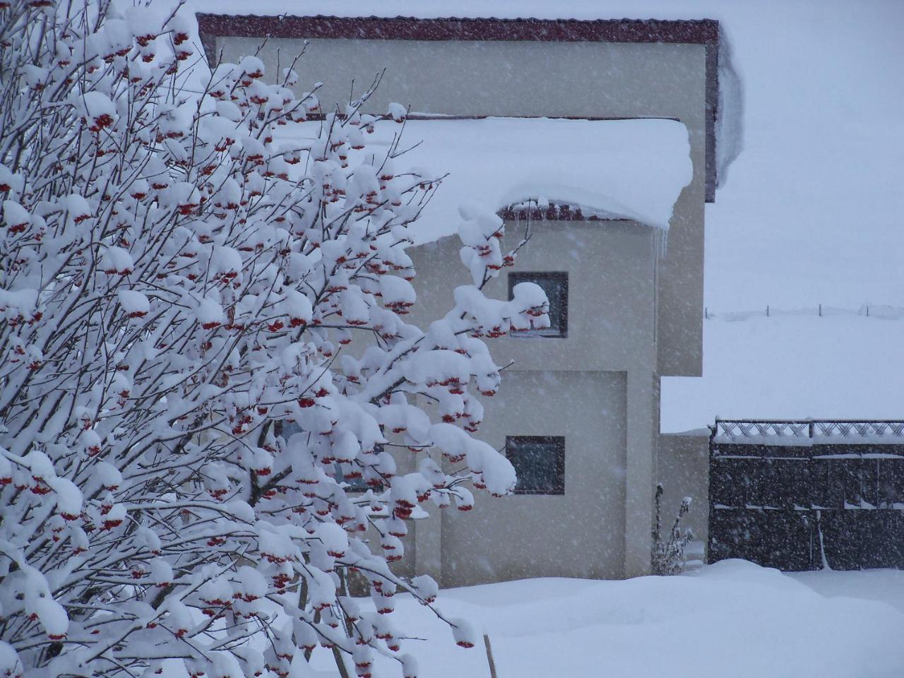---Allegria House--- Kazbegi Dış mekan fotoğraf