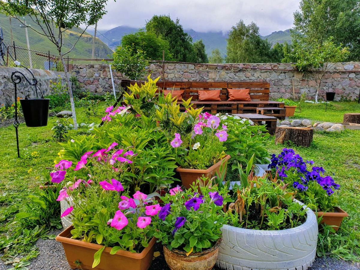 ---Allegria House--- Kazbegi Dış mekan fotoğraf